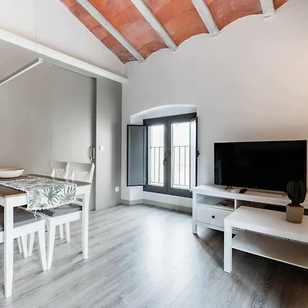Revitalized In Historical Building * Gérone