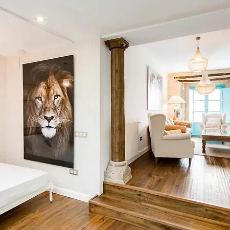 Revitalized In Historical Building Daire Girona