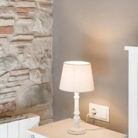 Revitalized In Historical Building Apartment Girona